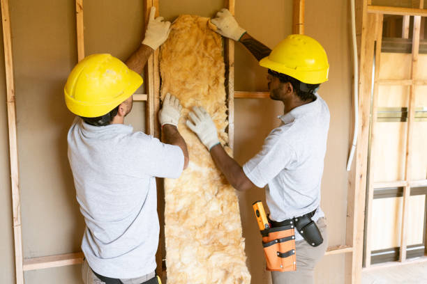 Best Local Insulation Services  in South Greeley, WY
