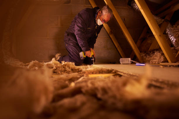 Best Insulation Contractors for Homes  in South Greeley, WY